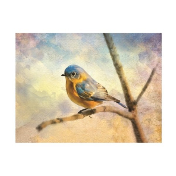 Trademark Fine Art Lois Bryan 'Eastern Bluebird On A Bluebird Day' Canvas Art, 18x24 LBR00411-C1824GG